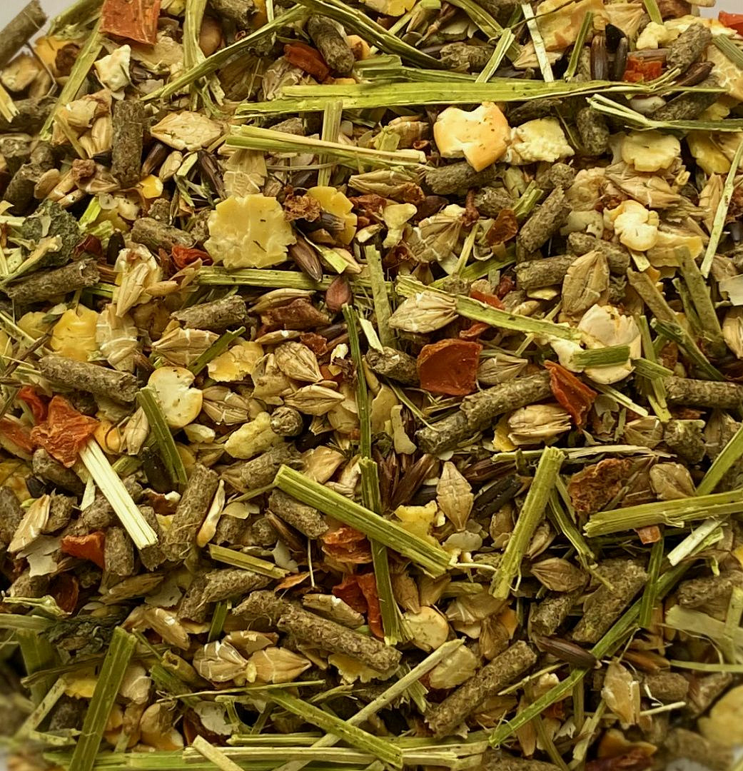 SENIOR / Сеньор