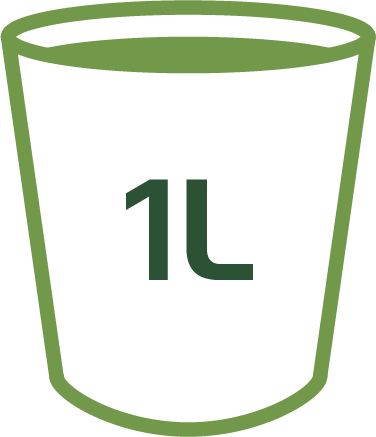 1L