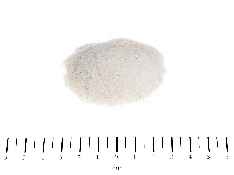 EQUOLYT® BIOTIN HORSE порошок