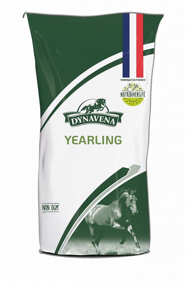 YEARLING / Йерлинг