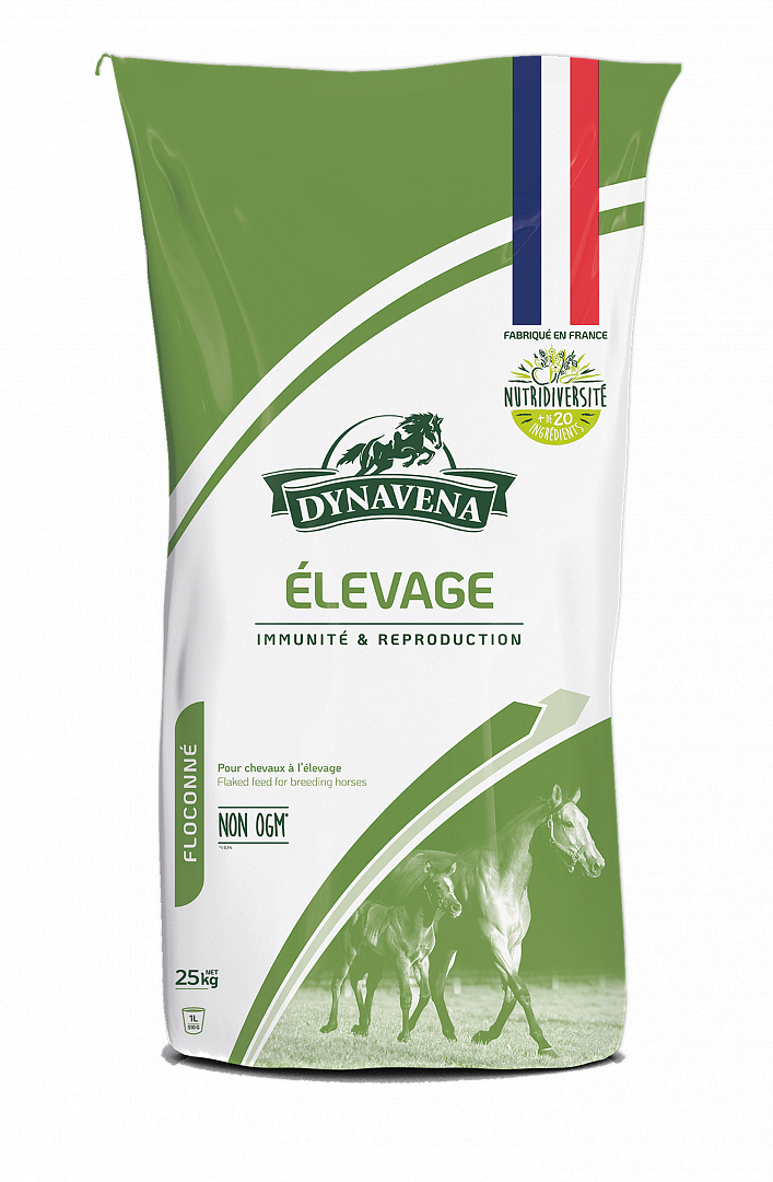 ELEVAGE / Элеваж