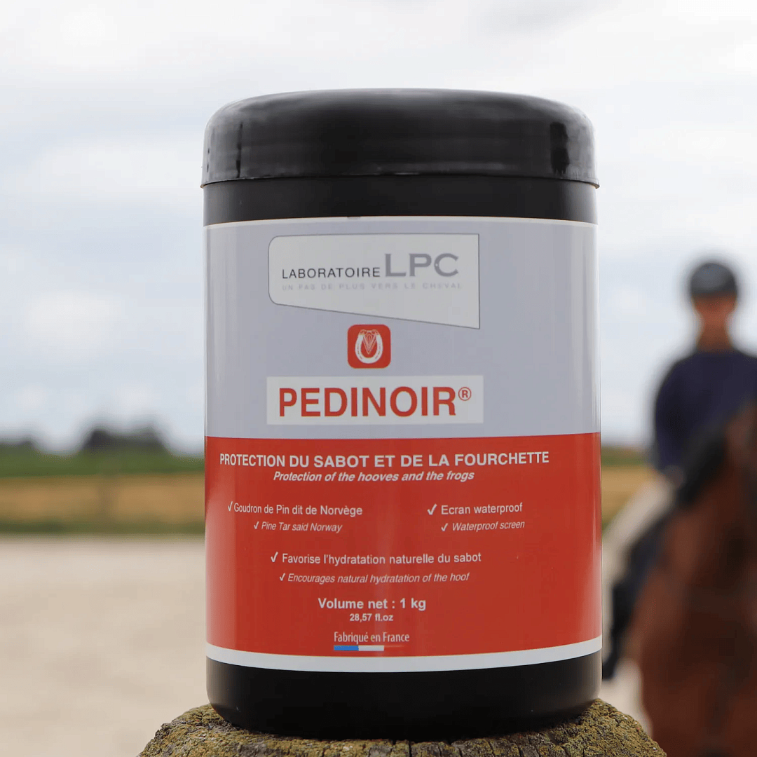 PEDINOIR POT