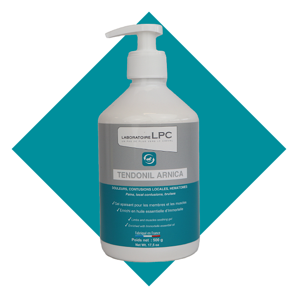 TENDONIL ARNICA