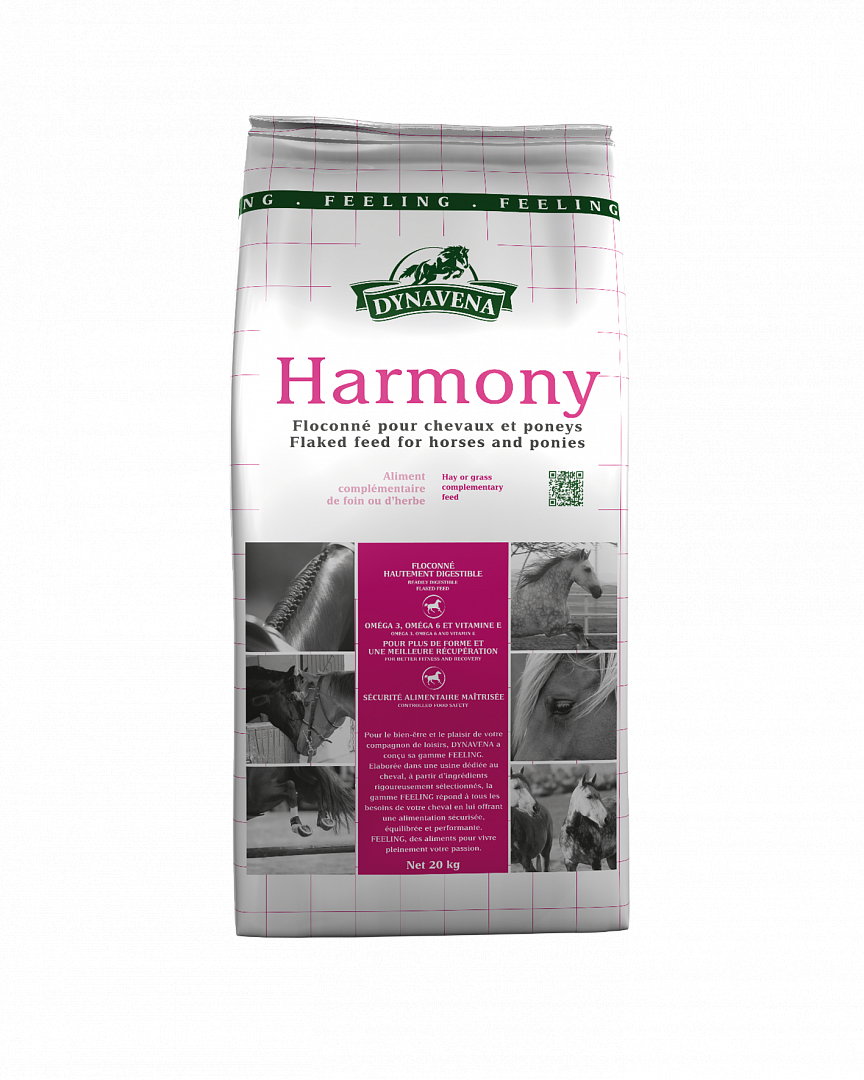 HARMONY / Гармония